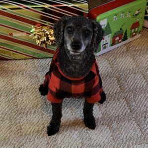 Meet your Posher, Charity ciotti